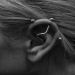 Prints-For-Sale - Ear Project - 30695